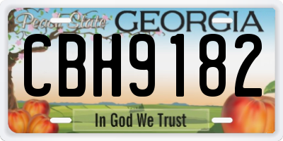 GA license plate CBH9182