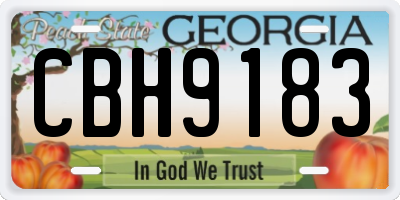 GA license plate CBH9183
