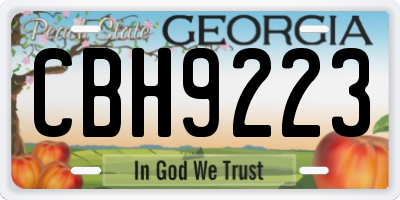 GA license plate CBH9223