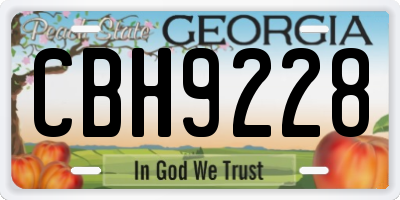 GA license plate CBH9228
