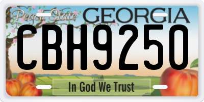GA license plate CBH9250