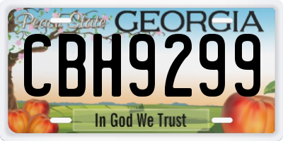 GA license plate CBH9299