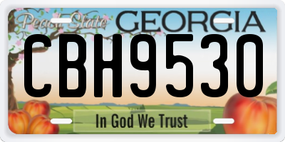 GA license plate CBH9530