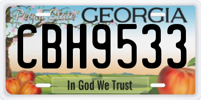 GA license plate CBH9533