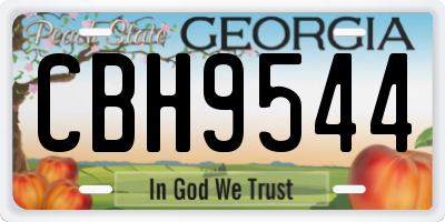 GA license plate CBH9544