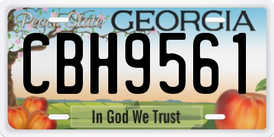 GA license plate CBH9561