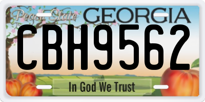 GA license plate CBH9562