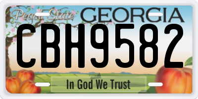 GA license plate CBH9582