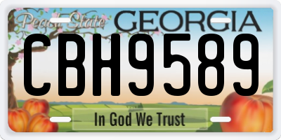 GA license plate CBH9589