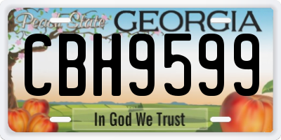 GA license plate CBH9599