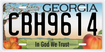 GA license plate CBH9614