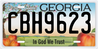 GA license plate CBH9623
