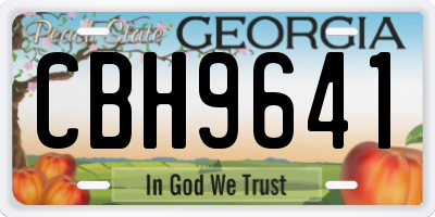 GA license plate CBH9641