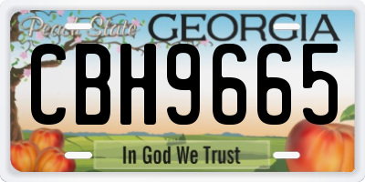 GA license plate CBH9665