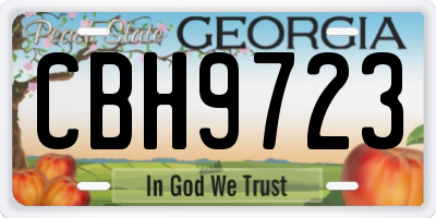 GA license plate CBH9723