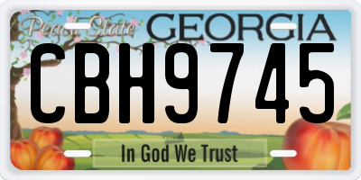 GA license plate CBH9745