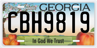 GA license plate CBH9819