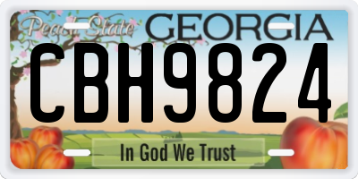 GA license plate CBH9824