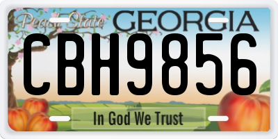 GA license plate CBH9856