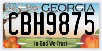 GA license plate CBH9875