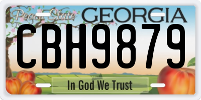 GA license plate CBH9879