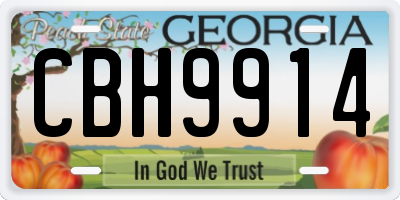 GA license plate CBH9914
