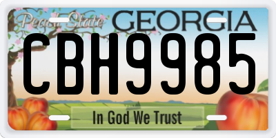 GA license plate CBH9985
