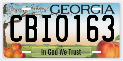 GA license plate CBI0163
