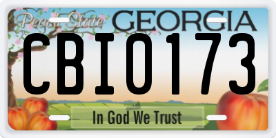 GA license plate CBI0173