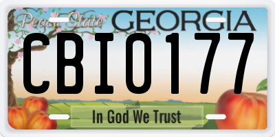 GA license plate CBI0177