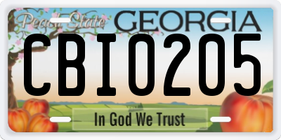 GA license plate CBI0205