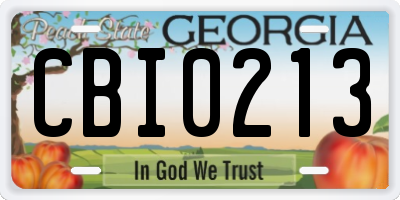 GA license plate CBI0213