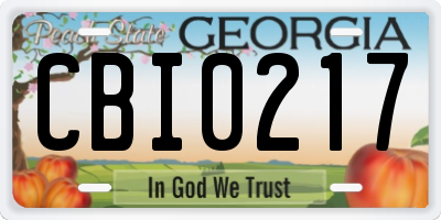 GA license plate CBI0217