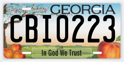 GA license plate CBI0223