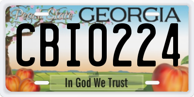 GA license plate CBI0224