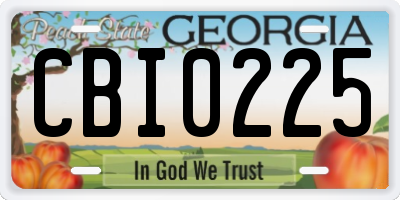 GA license plate CBI0225