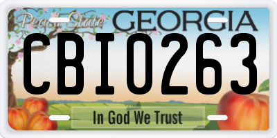 GA license plate CBI0263
