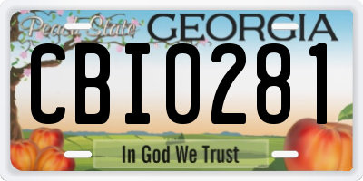 GA license plate CBI0281