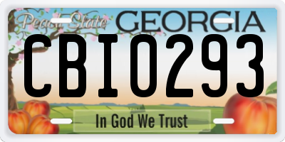 GA license plate CBI0293
