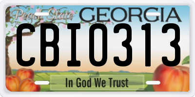 GA license plate CBI0313