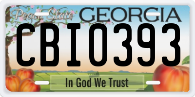GA license plate CBI0393