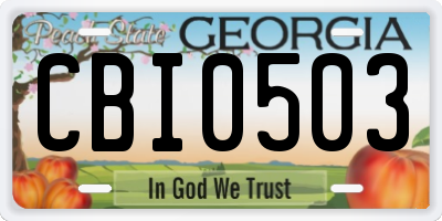 GA license plate CBI0503