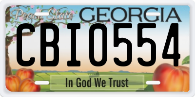 GA license plate CBI0554