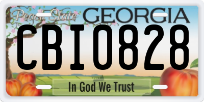 GA license plate CBI0828