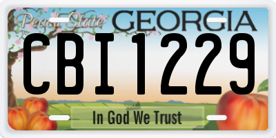 GA license plate CBI1229