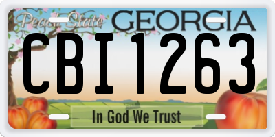 GA license plate CBI1263