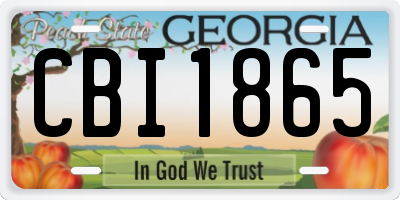 GA license plate CBI1865