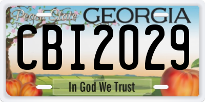 GA license plate CBI2029