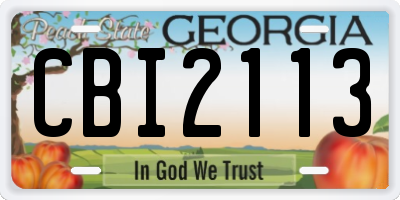 GA license plate CBI2113