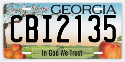 GA license plate CBI2135